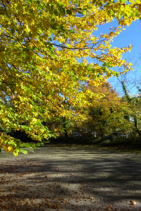 Herbstweg